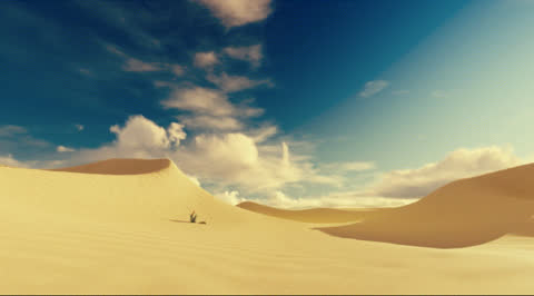Desert-017 - Video Wallpaper