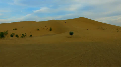 Desert-024 - Video Wallpaper