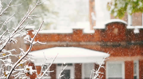 Snow-012 - Video Wallpaper