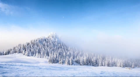 Snow-014 - Video Wallpaper