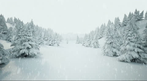 Snow-019 - Video Wallpaper