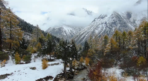 Snow-025 - Video Wallpaper