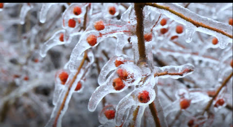 Snow-026 - Video Wallpaper