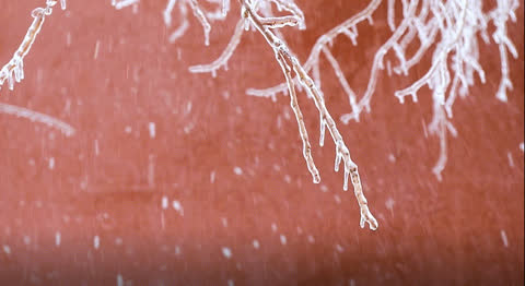 Snow-029 - Video Wallpaper