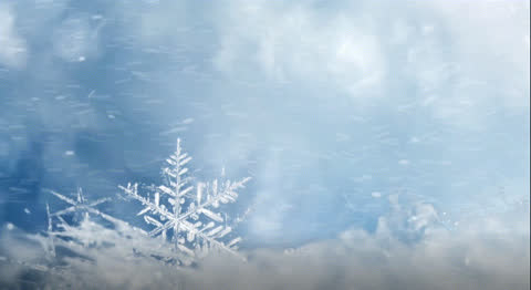Snow-033 - Video Wallpaper