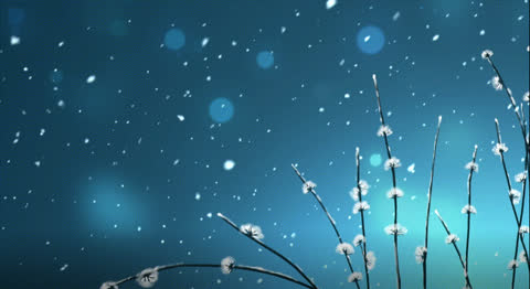 Snow-035 - Video Wallpaper