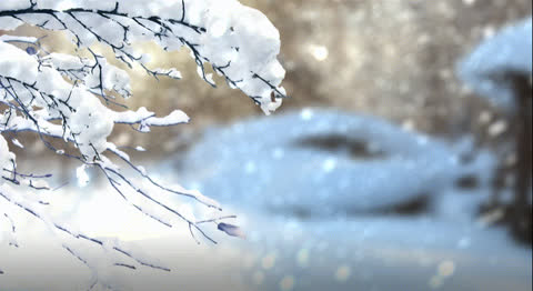 Snow-037 - Video Wallpaper