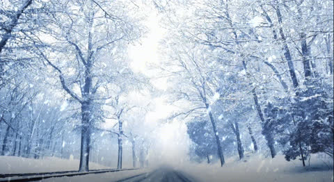 Snow-038 - Video Wallpaper