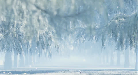 Snow-039 - Video Wallpaper