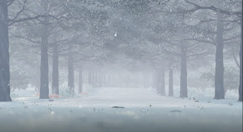 Snow-040 - Video Wallpaper