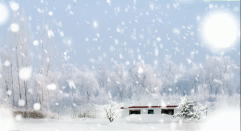 Snow-043 - Video Wallpaper