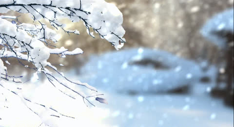 Snow-049 - Video Wallpaper