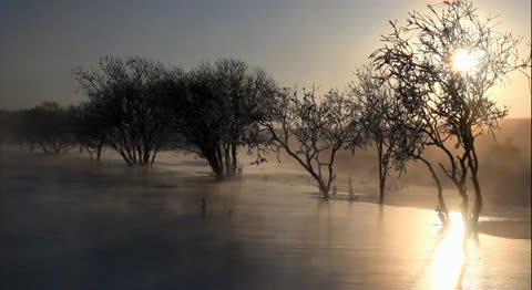 Snow-053 - Video Wallpaper