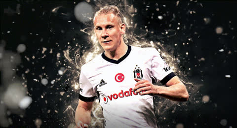 Vida - Video Wallpaper