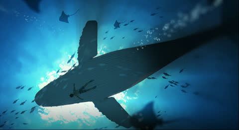 Animal-001 - Video Wallpaper
