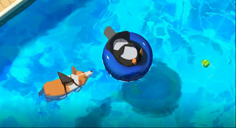 Animal-002- Video Wallpaper