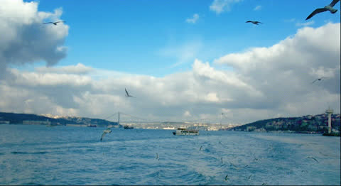 Rivers-005 - Video Wallpaper